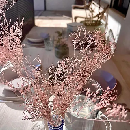 Precioso Retiro Junto Al Mar Apartamento *